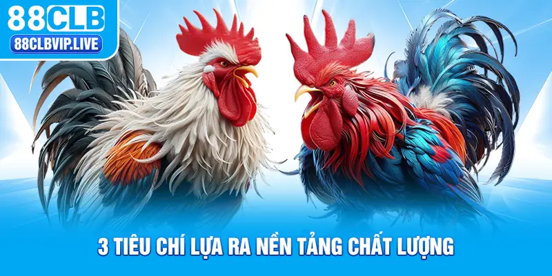 3 tiêu chí lựa ra nền tảng chất lượng