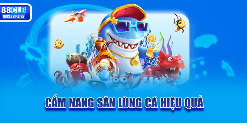 Cẩm nang săn lùng cá hiệu quả