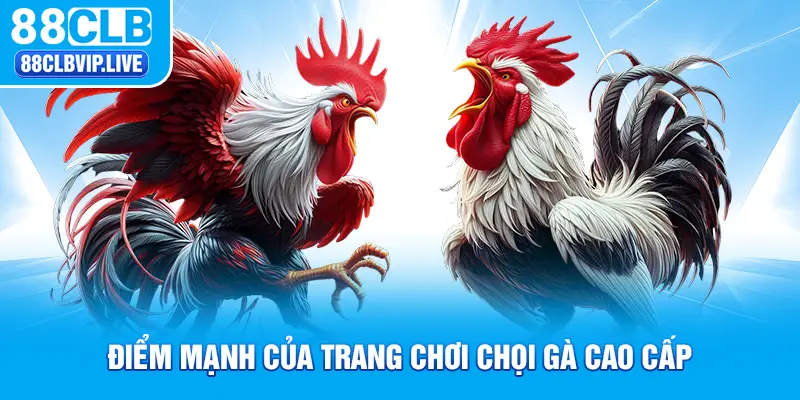 Điểm mạnh của trang chơi chọi gà cao cấp