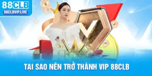 Tại Sao Nên Trở Thành VIP 88CLB