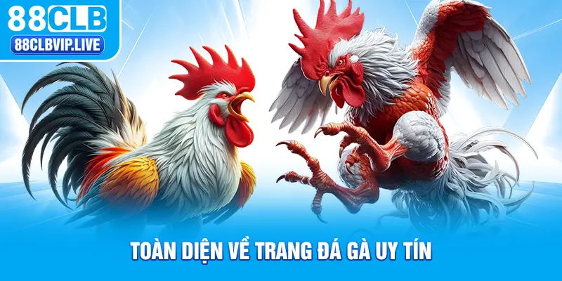 Toàn diện về trang đá gà uy tín